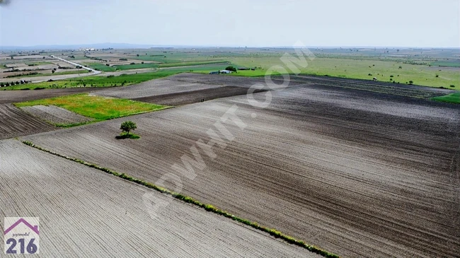 ACİL TEKİRDAĞ SARAY KURTDERE asfalt yol 2. parsel TEK TAPU