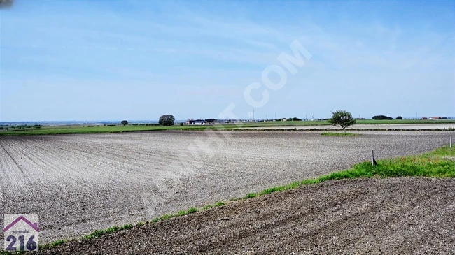 ACİL TEKİRDAĞ SARAY KURTDERE asfalt yol 2. parsel TEK TAPU