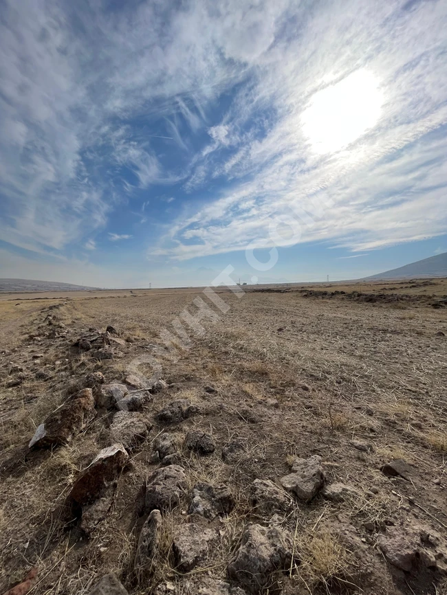 أرض زراعية للبيع , في İncesu, Kayseri  - من Tamkonut Gayrimenkul