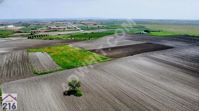 ACİL TEKİRDAĞ SARAY KURTDERE asfalt yol 2. parsel TEK TAPU