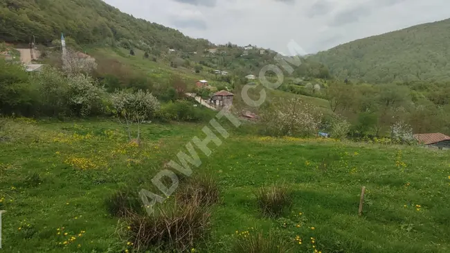 A residential land located 441m² away from İZNİK-OSMANİYE, planned with a road, water, and electricity in front of the door.