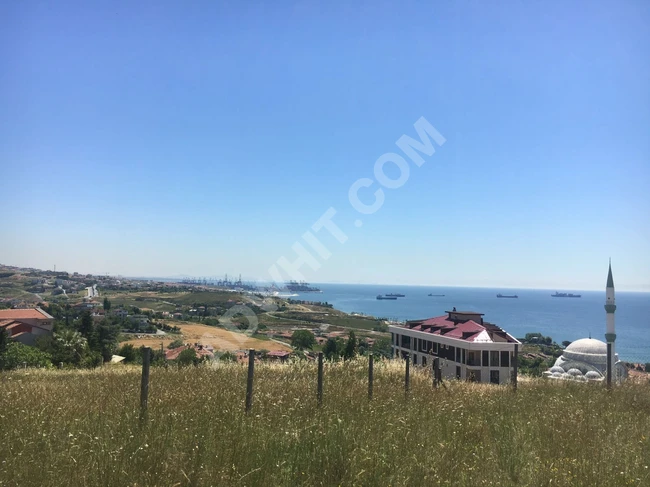 A plot of land measuring 1,035 m² with a sea view for applying for citizenship.