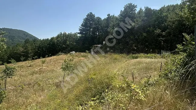 Agricultural land with an area of 2025 square meters on the main road in BURSA İZNİK MECİDİYE from YENİ.