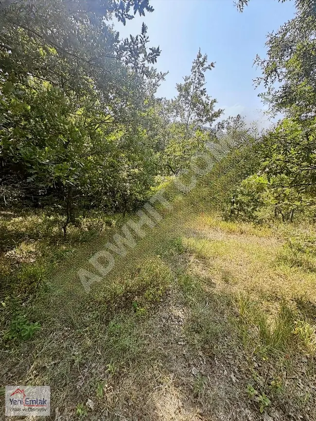 Official agricultural land with an area of 2147 square meters overlooking the lake in İZNİK OSMANİYE