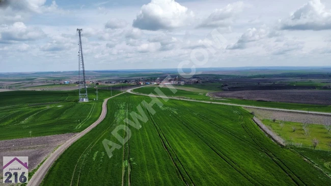 TEKİRDAĞ HAYRABOLU KÖYE YAKIN YOL CEPHE TEK TAPU FIRSAT ARAZİ