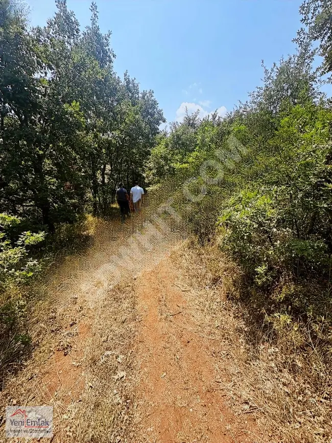 Agricultural land with an area of 2025 square meters on the main road in BURSA İZNİK MECİDİYE from YENİ.