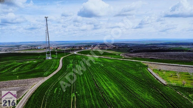 TEKİRDAĞ HAYRABOLU KÖYE YAKIN YOL CEPHE TEK TAPU FIRSAT ARAZİ