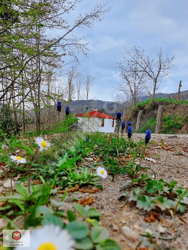 İNEBOLU AYVAKÖY de 283M2 TARLA İÇİNDE 65 M2 VERANDALI SATILIK