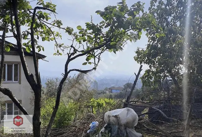 SAKARYA GEYVEDE 611 m2 KONUT İMARLI SATILIK ARSA