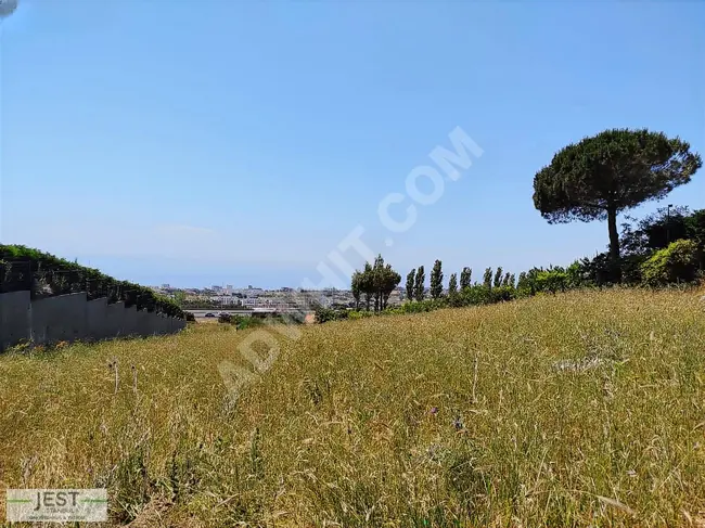 Agricultural land with a share and a full sea view in the BÜYÜKÇEKMECE CELALİYE area.