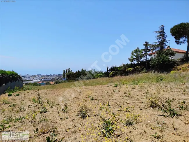 Agricultural land with a share and a full sea view in the BÜYÜKÇEKMECE CELALİYE area.