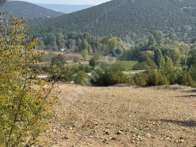 Agricultural land 938m2 for sale in BİLECİK MERKEZ VEZİRHAN