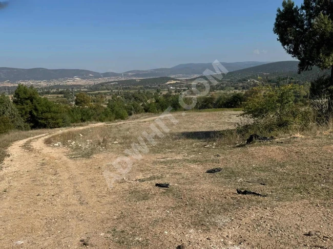 Agricultural land 938m2 for sale in BİLECİK MERKEZ VEZİRHAN