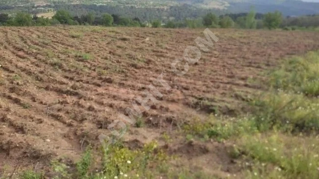 ÇANAKKALE KAZDAĞLARI İÇİNDE BULUNAN 20. DÖNÜM TEK TAPU MÜSTAKİL ARAZİ