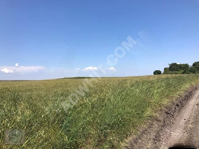 Agricultural land for sale by MAY GAYRIMENKUL