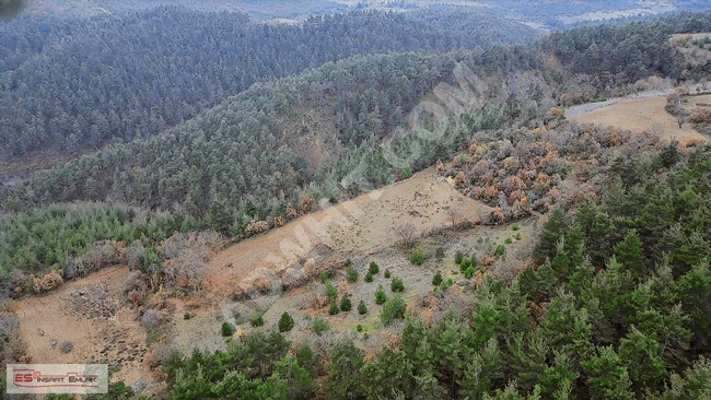 BALIKESİR SINDIRGI DA MÜKEMMEL KONUMDA YATIRIMLIK ARAZİ