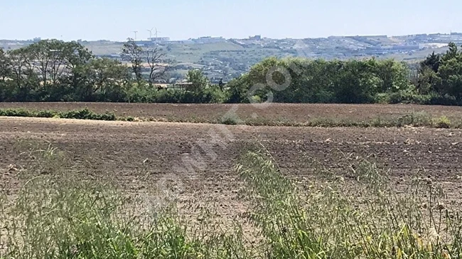 MAY GAYRIMENKUL'den satılık tarla