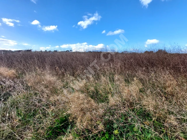 Land for sale with an area of 1 dunam in Baklalı Çınar Dere.