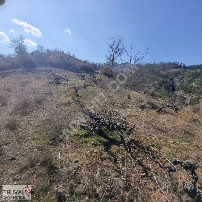 A plot of land measuring 2018 m² containing a grapevine, with a road inside the village, Sındırgı Bigadiç kızılçukur