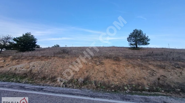 A plot of land measuring 2205m2 with a frontage on the main street at the entrance of Yeni Aktaş neighborhood in Balıkesir Sındırgı.