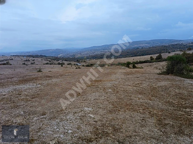 KOCAELİ KANDIRA AĞAÇAĞIL'DA MÜKEMMEL KONUMDA SATILIK KUPON ARAZİ