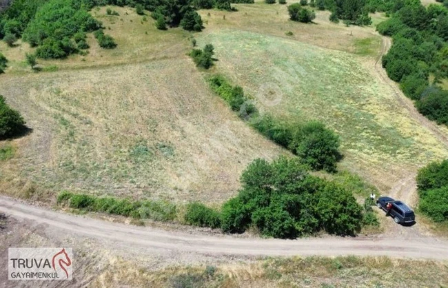 Land 2743m2 with frontage on the cadastre road in SINDIRGI PÜRSÜNLER