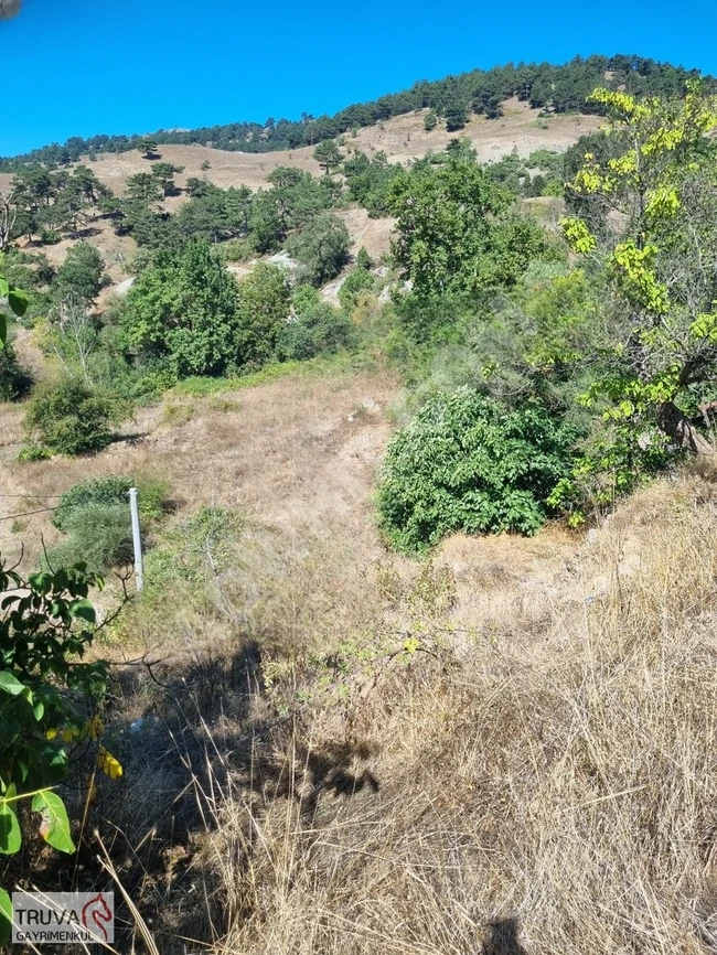 A plot of land measuring 2558 square meters suitable for building a house within the village of Sındırgı Aktaş - from Truva Real Estate