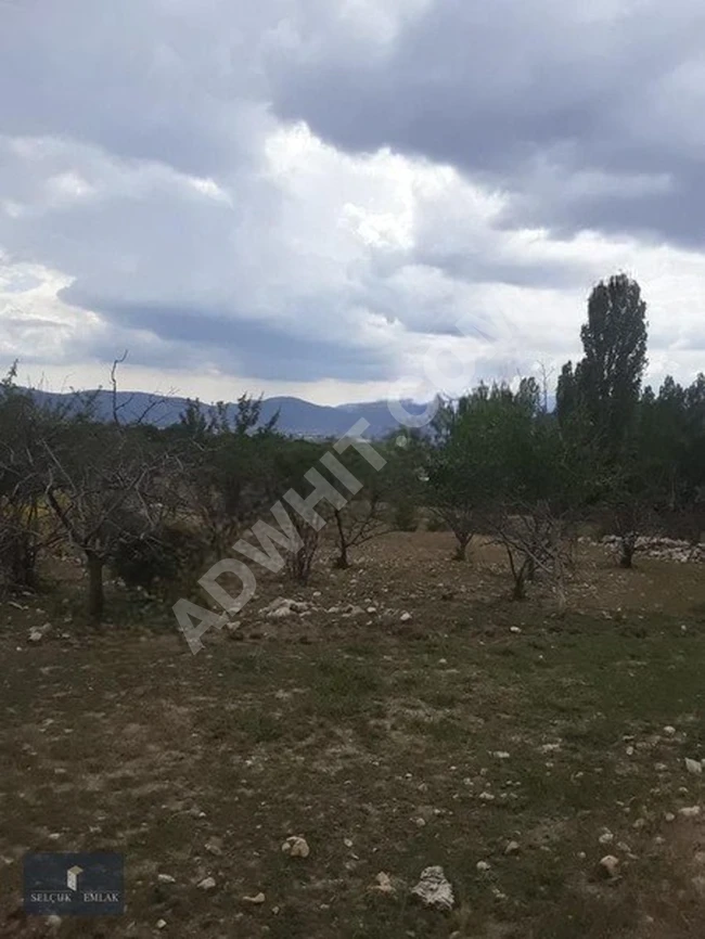 YAYLA SEKİ'DE MUHTEŞEM MANZARALI SATILIK KELEPİR ARAZİ.