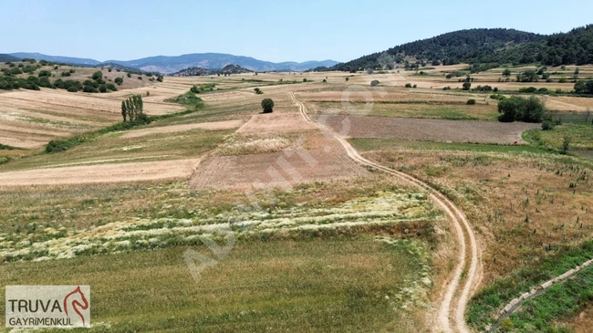 A plot of land measuring 1793 square meters close to the center in Bigadiç çam köy, an investment opportunity.