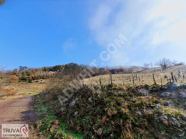 A plot of land measuring 9311m2 on the street where one can build a house in Balıkesir Sındırgı, Kınık neighborhood.