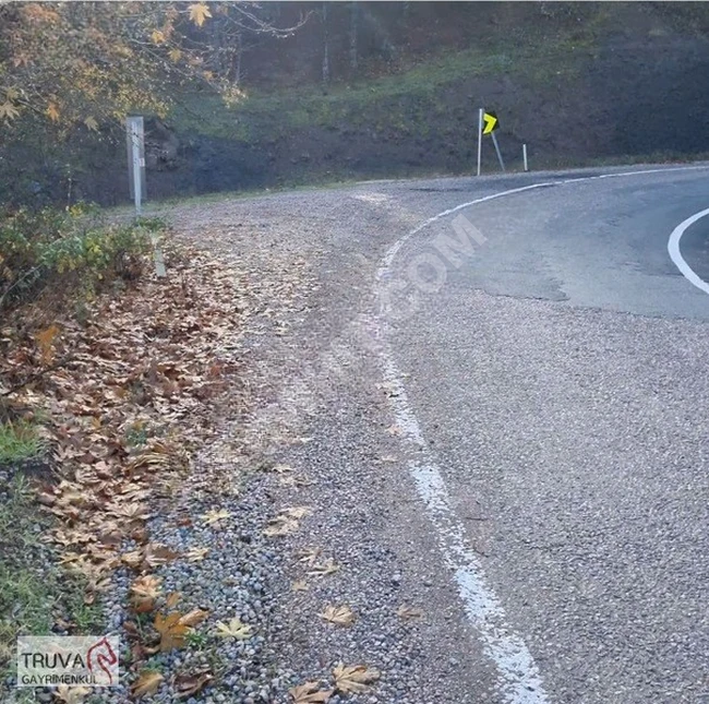 A plot of land measuring 9311m2 on the street where one can build a house in Balıkesir Sındırgı, Kınık neighborhood.