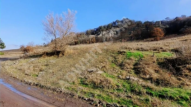 A plot of land measuring 9311m2 on the street where one can build a house in Balıkesir Sındırgı, Kınık neighborhood.