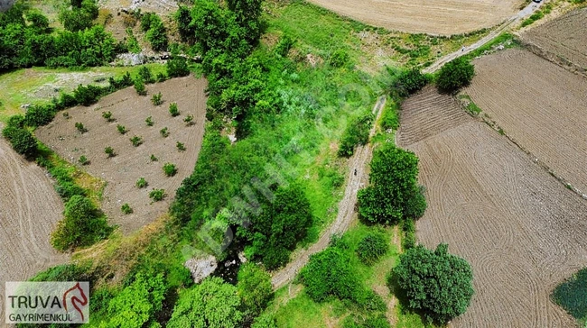 A plot of 1,177 square meters in Sındırgı, Büyükdağdere neighborhood, with availability of electricity and water.