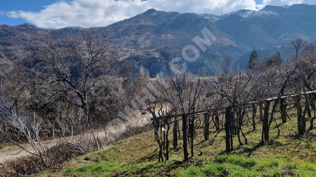 A plot of land measuring 2018 m² containing a grapevine, with a road inside the village, Sındırgı Bigadiç kızılçukur