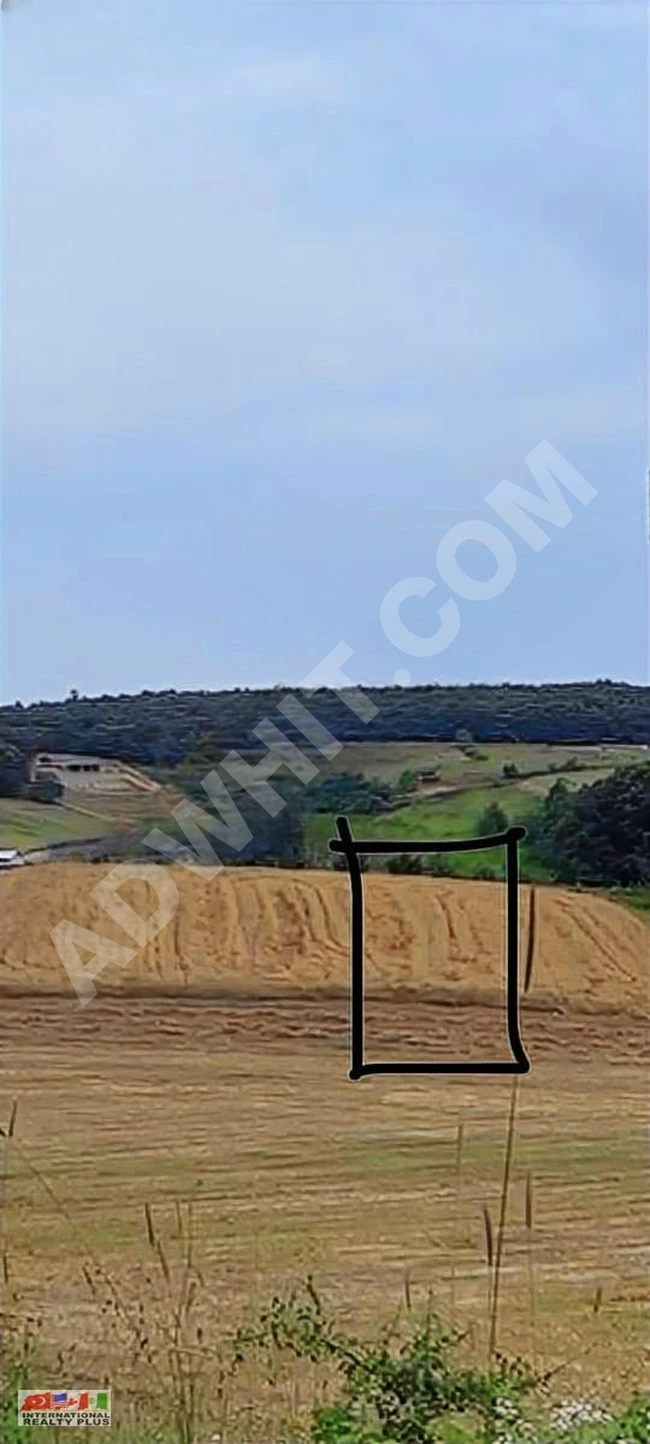 Land for sale at the entrance of SEVİNDİKLİ, overlooking the road from an elevated location and parallel to the street.