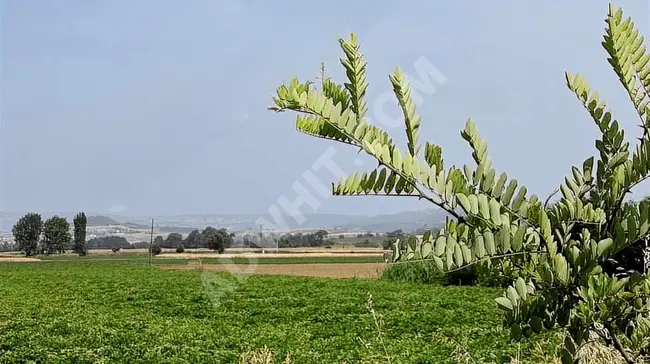 YENİŞEHİR AKDERE KÖYÜNDE ELEKTIRIK SUYU OLAN TARLA