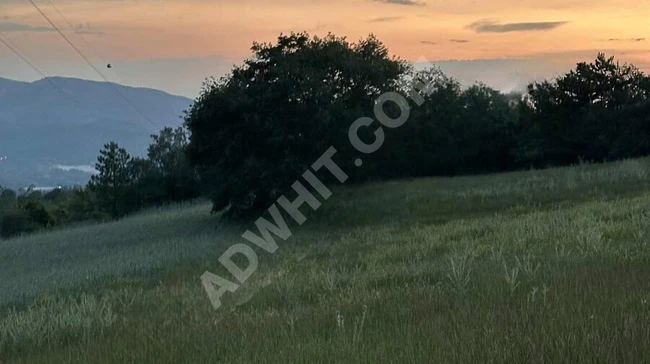 SAKARYA GEYVE SABIRLAR KÖYÜNDE 4900 M2 SATILIK TARLA