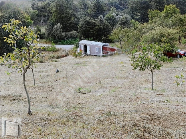 Bursa İznik Mecidiyede Satılık MüstakilTarla Bilgiler Açıklamada