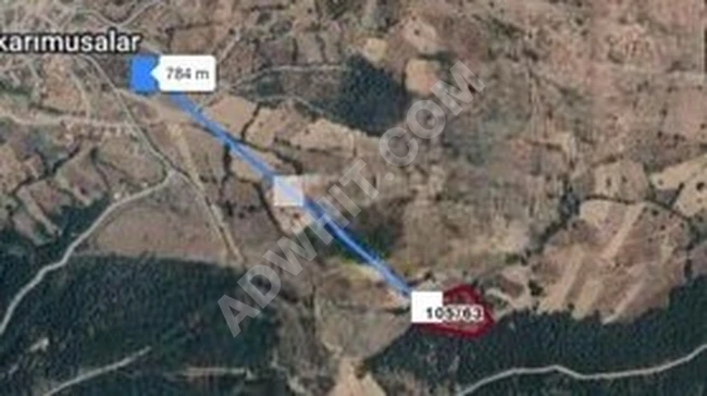 A single title deed agricultural land with an area of 11,112 m² in the Yukarımusalar neighborhood in Balıkesir Dursunbey.