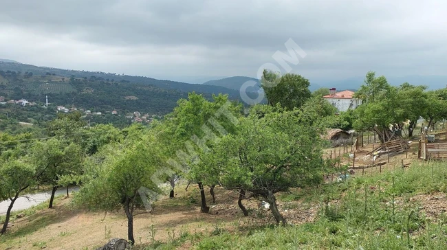 Land with a permit in Balıkesir Havran, with 40% allocated for residential construction.