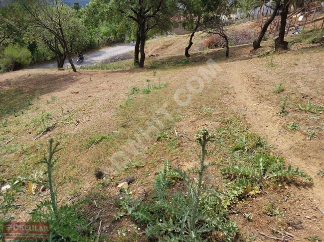 Land with a permit in Balıkesir Havran, with 40% allocated for residential construction.