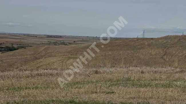 Land for sale with an area of 20 dunams in Edirne Tayakadın.