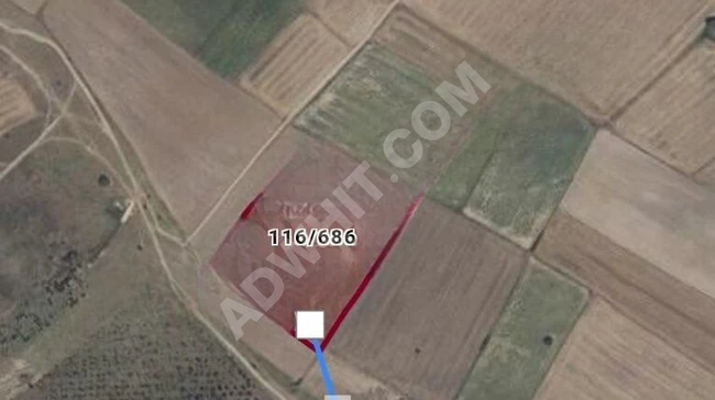 Agricultural land for sale in Tekirdağ Saray with an area of 420 square meters and official approval.