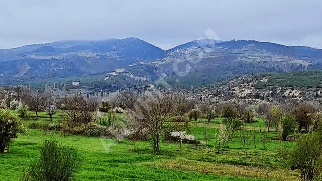 KÜTAHYA SİMAV HASAN ÖREN KÖYÜ SATILIK ARSA KÖYÜN EN GÜZEL YERİ