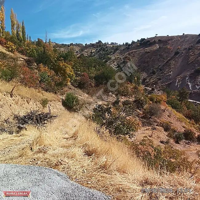 MARAŞ EMLAKTAN KOZLUDERE DE UYGUN 10 DÖNÜM BAĞ