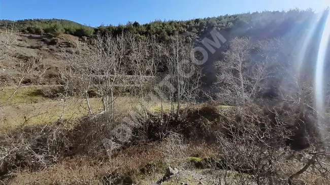 MARAŞ EMLAKTAN ELMALARDA SU KENARI TEK TAPU BAHÇE