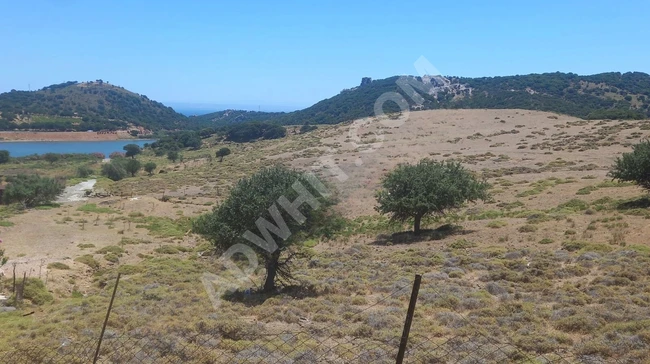 A farm with an area of 4,740 square meters overlooking KEFALOZ road is urgently ready for sale.