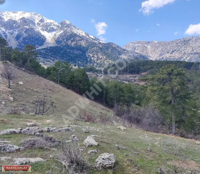 MARAŞ EMLAKTAN TEKİR DE SATILIK 6390 M2 ARAZİ