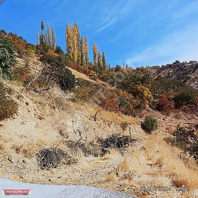 MARAŞ EMLAKTAN KOZLUDERE DE UYGUN 10 DÖNÜM BAĞ