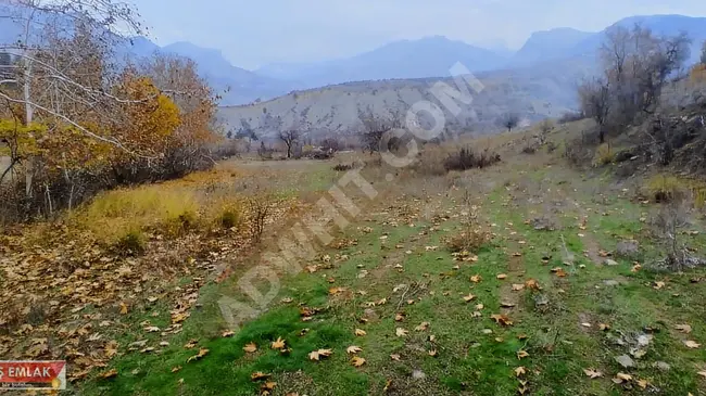 MARAŞ EMLAKTAN ILICA YOLU ÜZERİ SATILIK 5623 M2 BAĞ VE BAĞEVİ